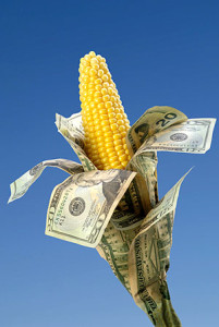 corn-subsidies