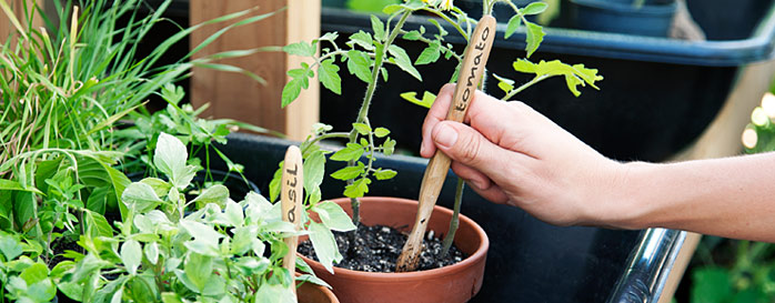 Creative Brush with Bamboo Recycling