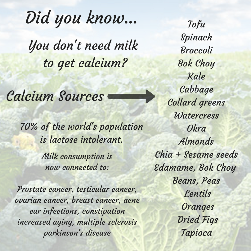 calcium-alternatives