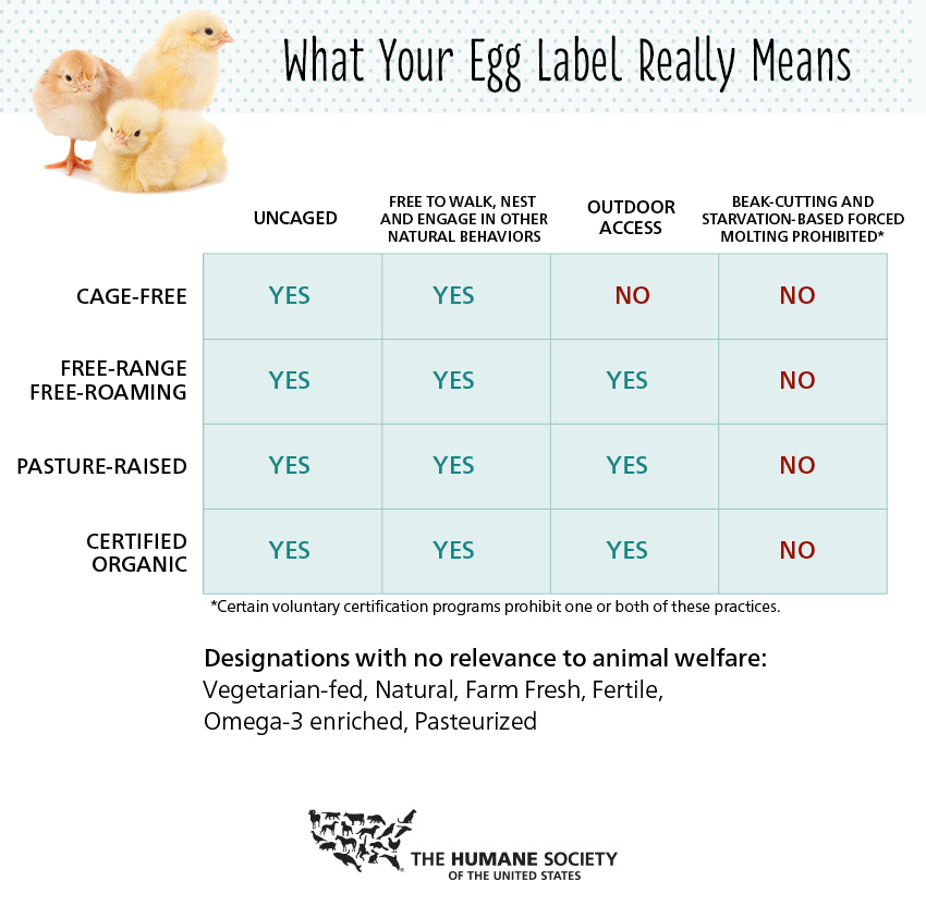 how-to-read-egg-label-full