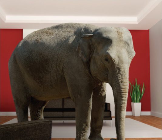 elephant in the room