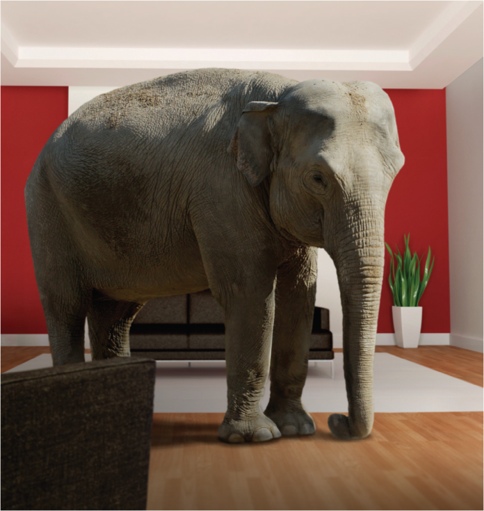 elephant in the room